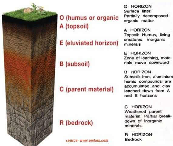 what_is_soil_profile
