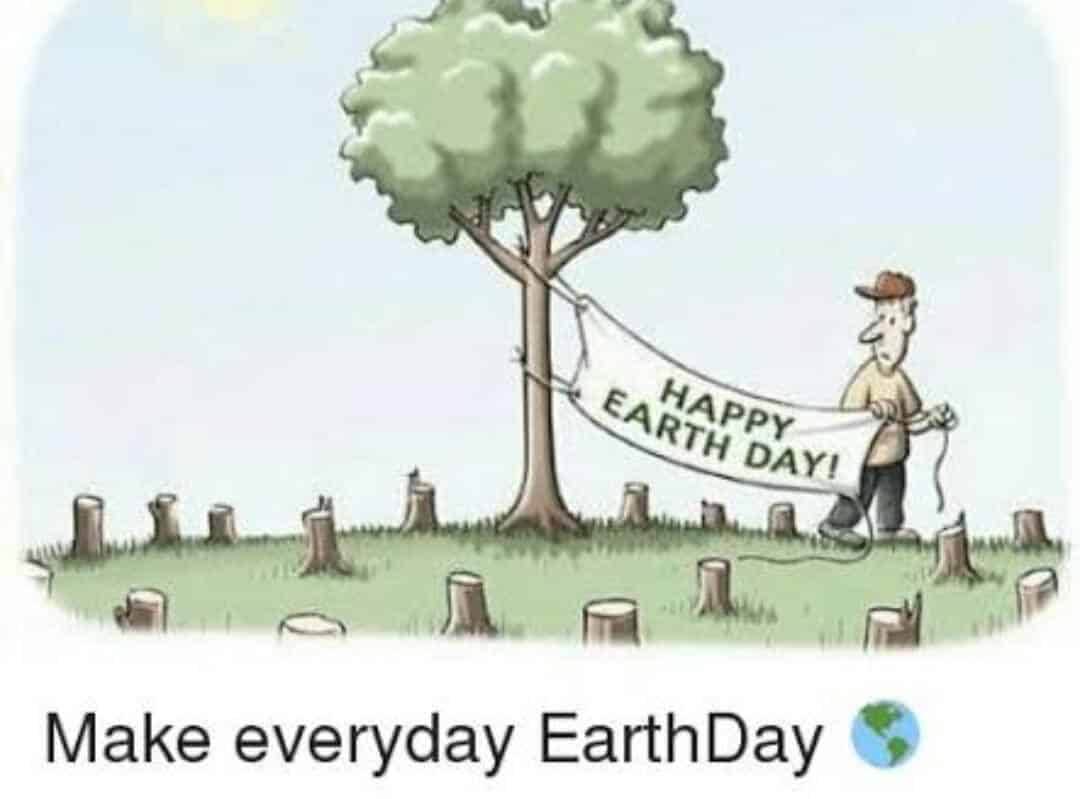 make everyday earth day meme poster