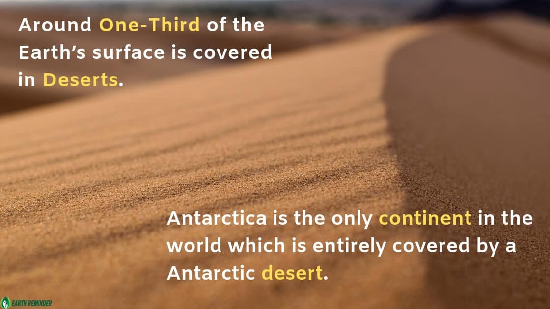 Desert Ecosystem: Definition, Types and Characteristics | Earth Reminder