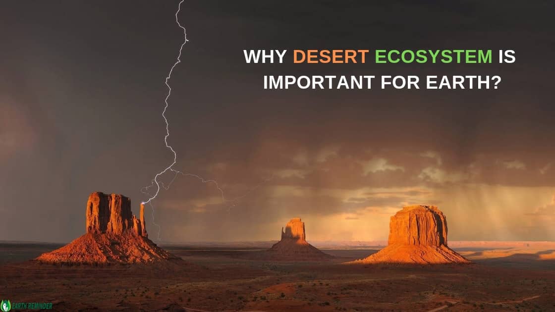 types-of-desert-ecosystem