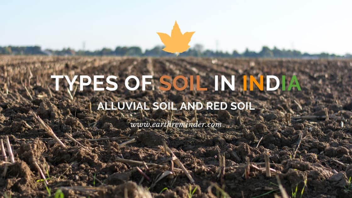 types-of-soil-in-india