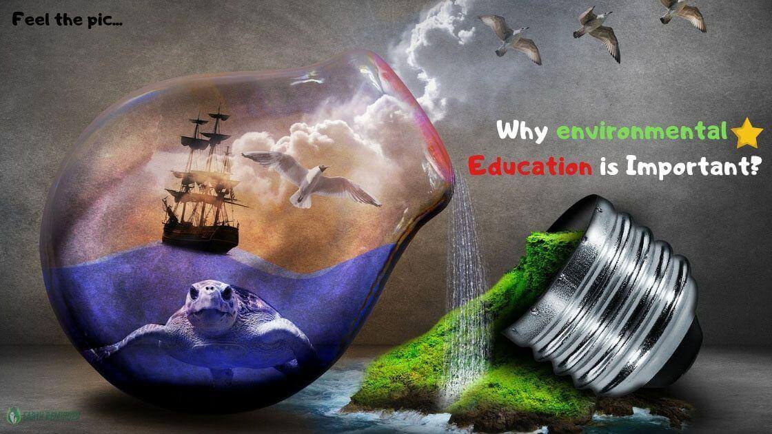 Importance of Environmental Education in Our Lives | Earth Reminder