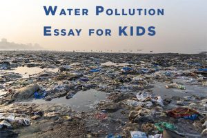 water pollution essay class 3