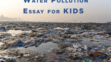 water-pollution-essay-for-kids