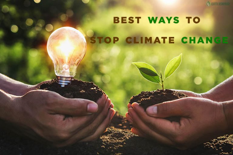 10 ways to reduce climate change essay