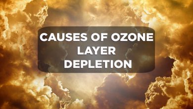 causes-of-ozone-layer-depletion