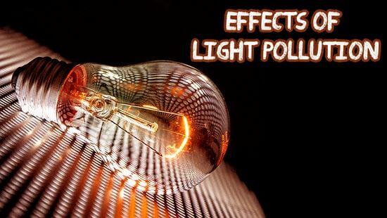Effects-of-light-pollution