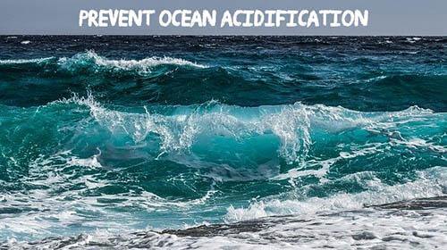 control-ocean-acidification