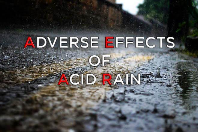 Adverse Effects of Acid Rain on the Environment | Earth Reminder