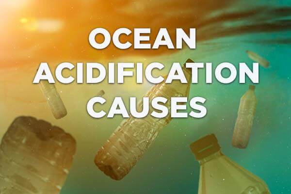 causes-of-ocean-acidification