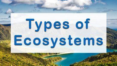 types-of-ecosystems