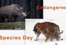 National-Endangered-Species-Day
