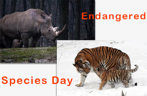 Endangered Species Day: History, Events & Celebrations | Earth Reminder