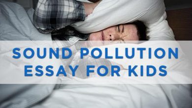 Sound-pollution-essay-for-kids-and-children.