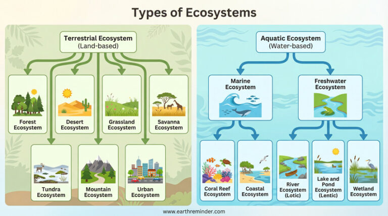 Ecosphere Types Different Types of Ecosystems & Characteristics | Earth Reminder