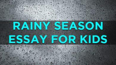 rainy-season-essay-for-kids
