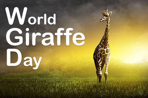 World-Giraffe-Day