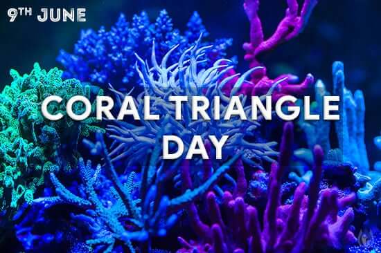 coral-triangle-day