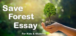 conservation of forest essay