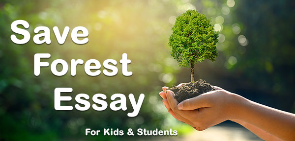Best Forest Essay for Kids From Class 4 to 8 | Earth Reminder