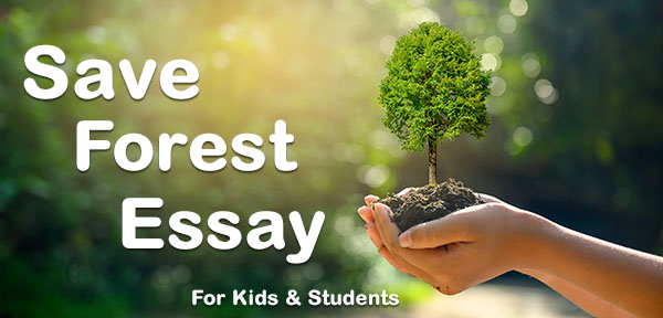 forest essay for class 4