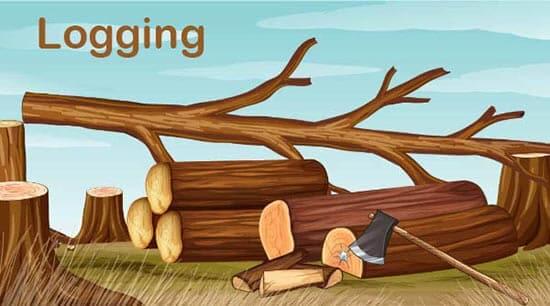 Logging-cutting-of-trees