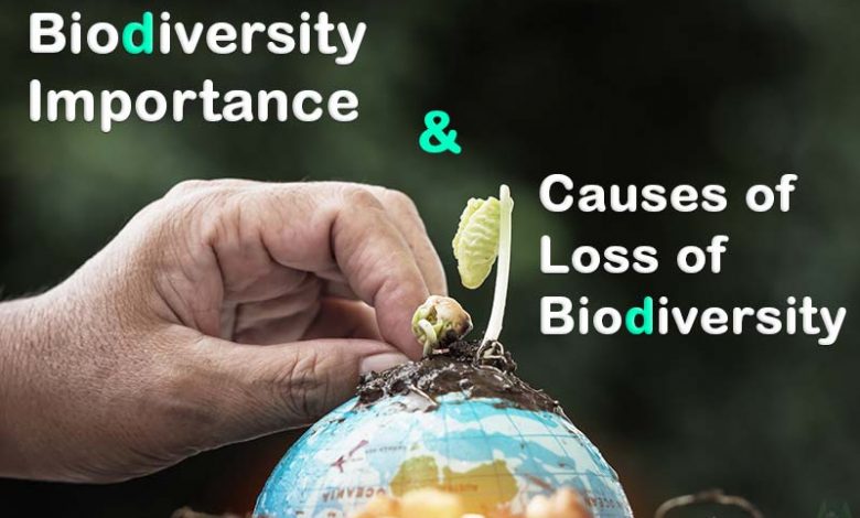 biodiversity-importance-and-loss of-biodiversity