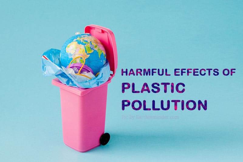 Harmful Effects of Plastic Pollution | Earth Reminder