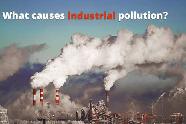 industrial development vs environmental protection essay