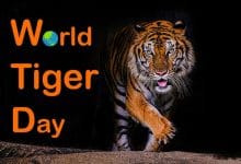 world-tiger-day