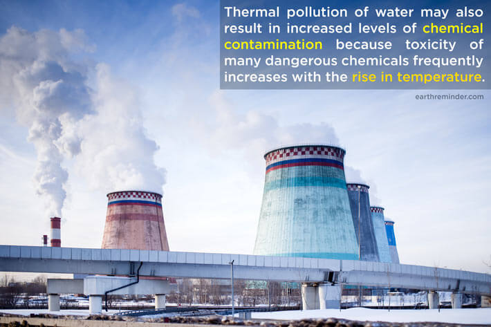 how does thermal pollution affect the environment