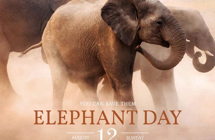 world-elephant-day