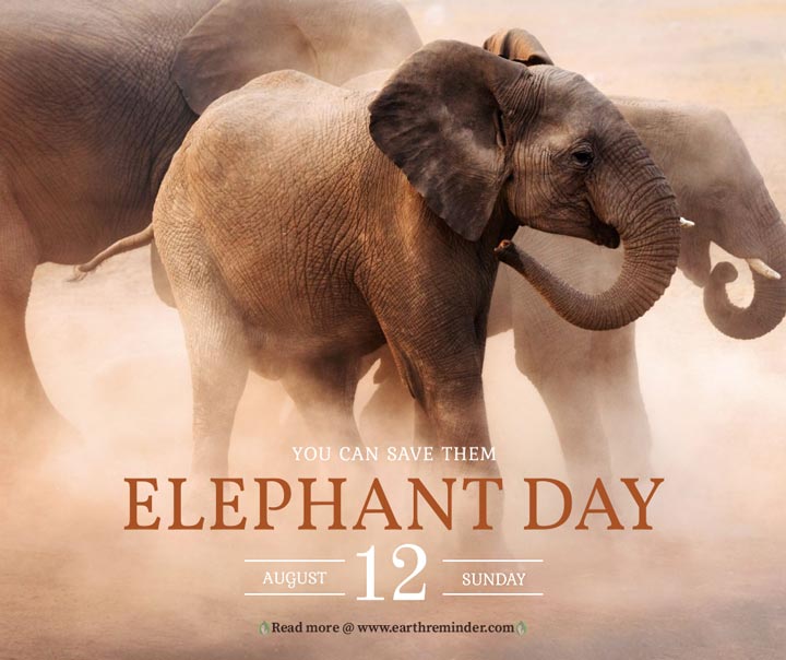 world-elephant-day