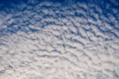 Altocumulus-types-of-clouds