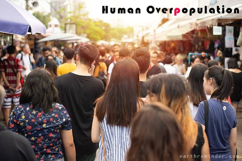 Human Overpopulation - Problems and Causes | Earth Reminder