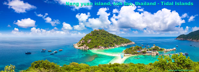 The Main Types of Islands and How They Formed