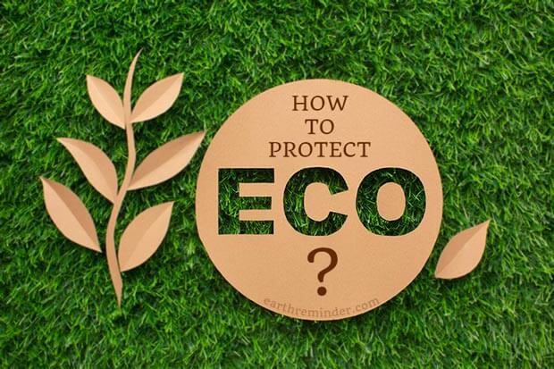 how-to-protect-ecology