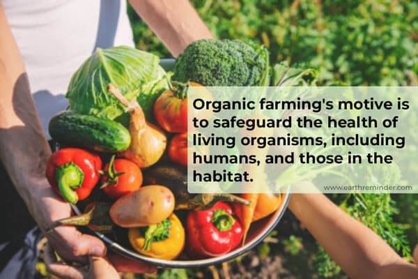 organic-farming-practices-facts