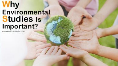 Why-Environmental-Studies-is-Important