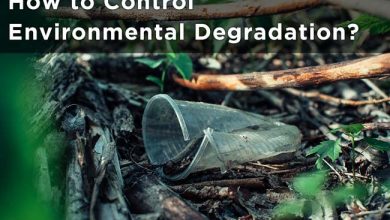 how-to-control-environmental-degradation