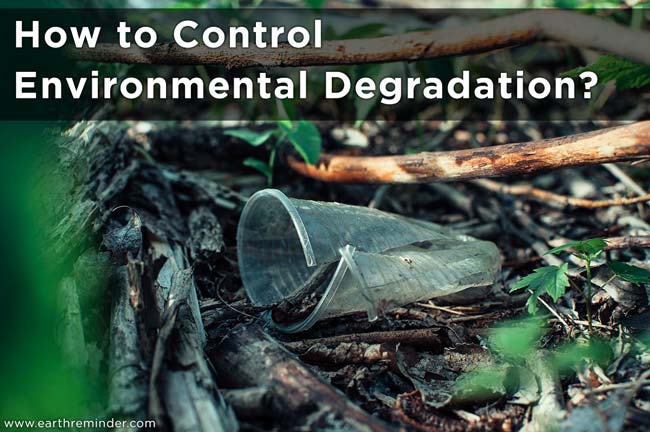 how-to-control-environmental-degradation