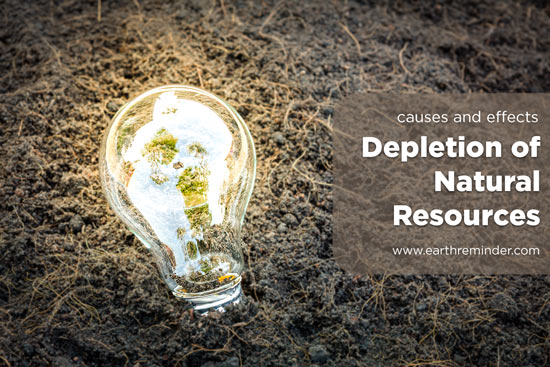 natural resources depletion essay