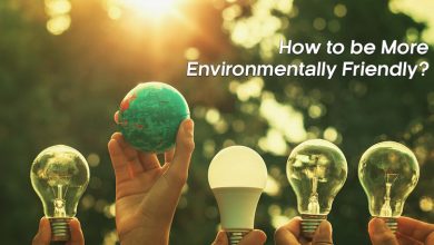 How-to-be-More-Environmentally-Friendly
