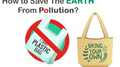 How-to-save-the-earth-from-pollution