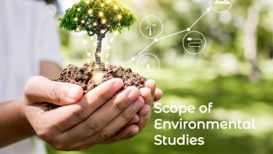 scope-of-environmental-studies