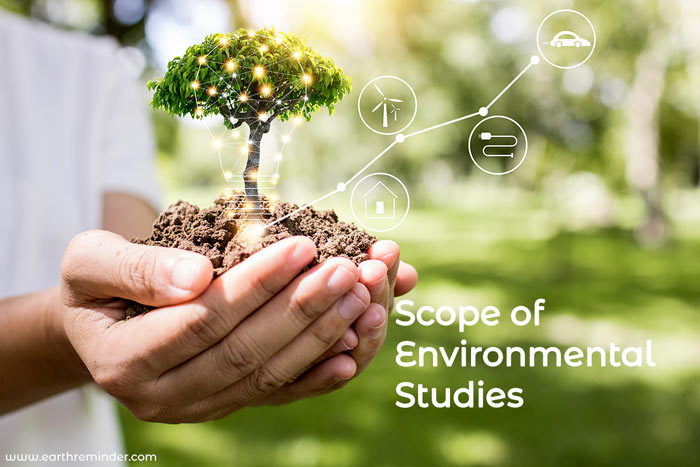 scope and importance of environmental studies