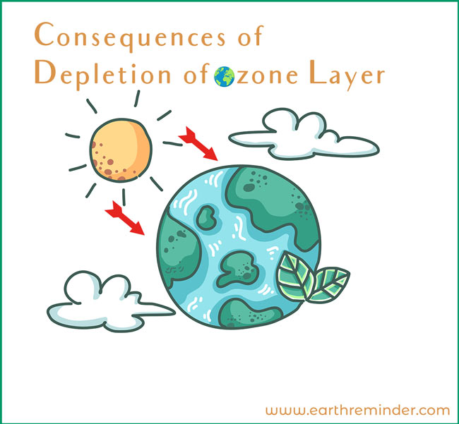 descriptive essay about reducing ozone depletion