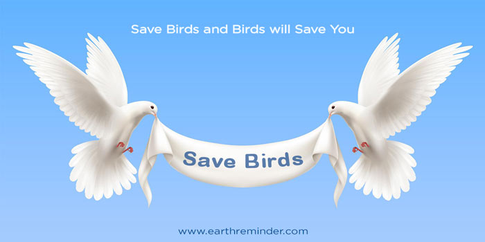 save-birds-from-5g-radiation-effects