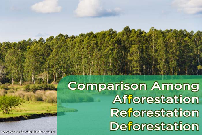 Afforestation-Reforestation-Deforestation-Difference