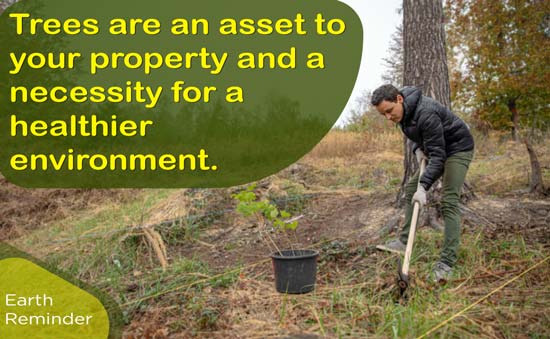 Afforestation-and-Reforestation-quote
